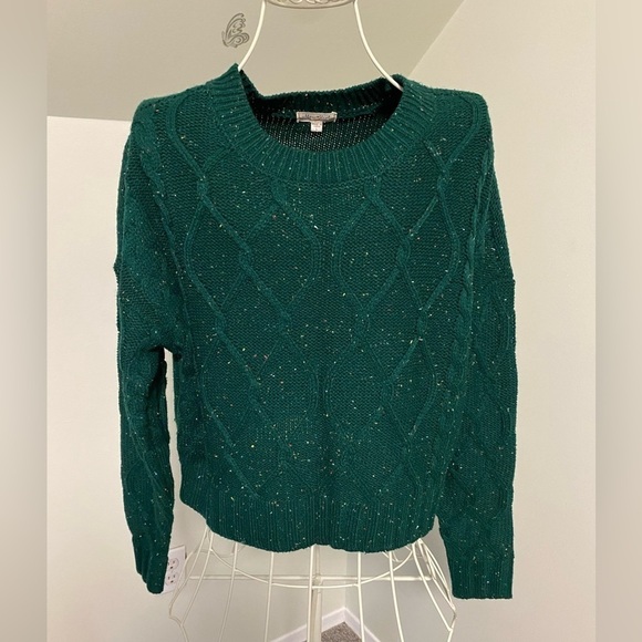 Ultra Flirt Cable Knit Sweater, Botanical Garden Green, size large - Picture 1 of 9